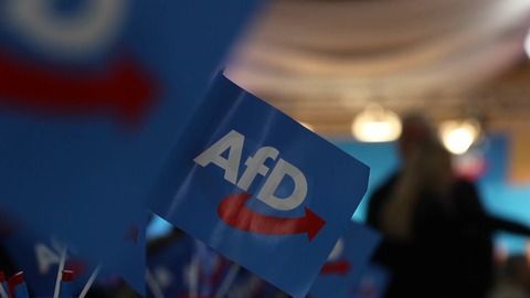 AfD in Umfragen klar zweitstärkste Kraft