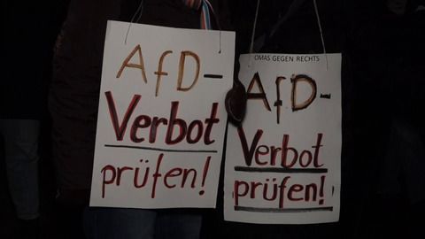 Demonstranten Vor Kanzleramt Fordern AfD-Verbotsverfahren