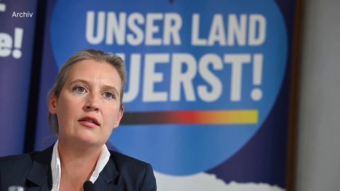 AfD-Vorsitzende Weidel Sieht «Dexit»-Referendum Als Plan B